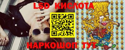 шишки Изобильный