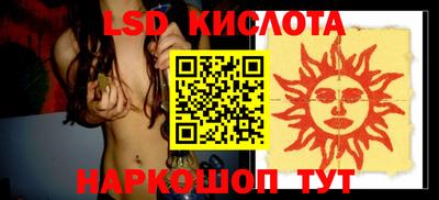 шишки Изобильный