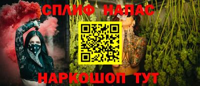 шишки Изобильный